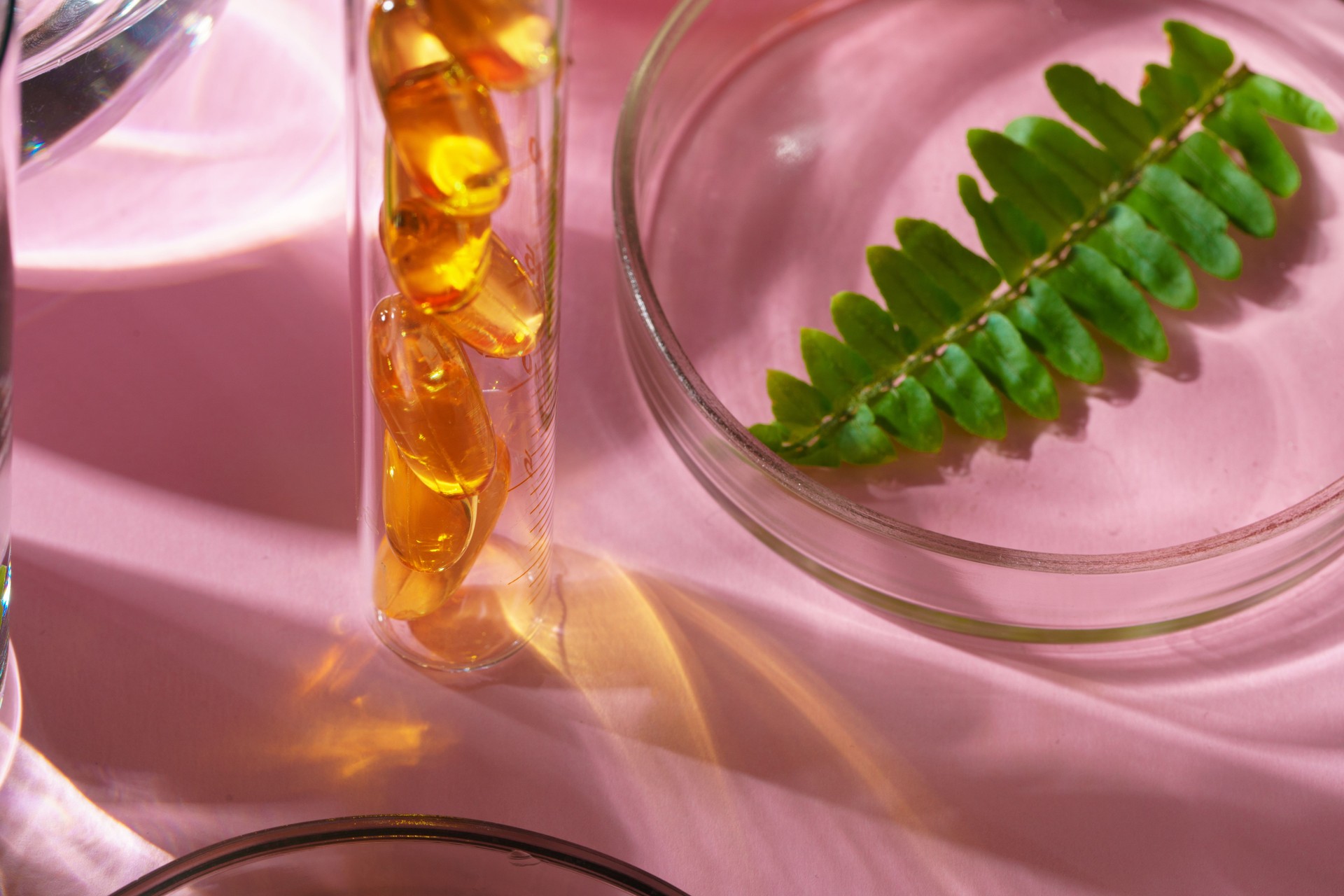 Concept research of beauty and skincare dietary supplements at laboratory